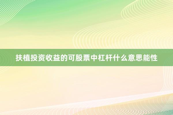 扶植投资收益的可股票中杠杆什么意思能性