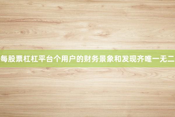 每股票杠杠平台个用户的财务景象和发现齐唯一无二