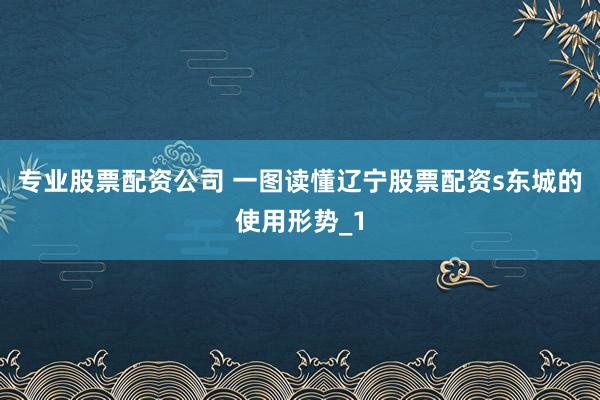 专业股票配资公司 一图读懂辽宁股票配资s东城的使用形势_1