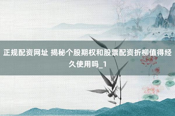 正规配资网址 揭秘个股期权和股票配资折柳值得经久使用吗_1